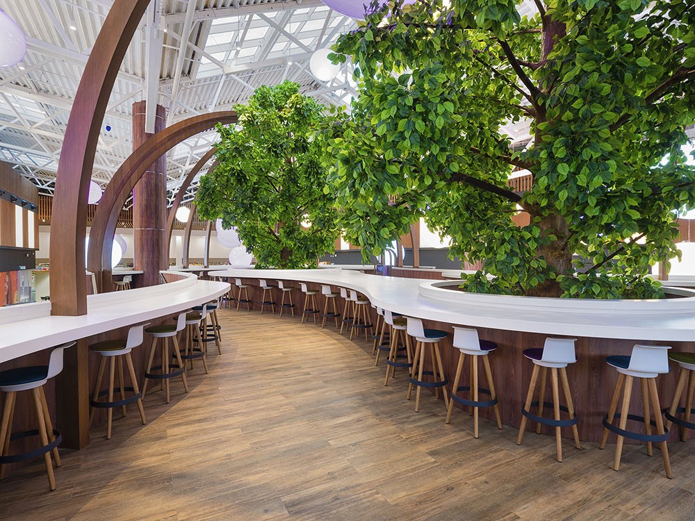 Siz hayal edin, biz uygulayalım